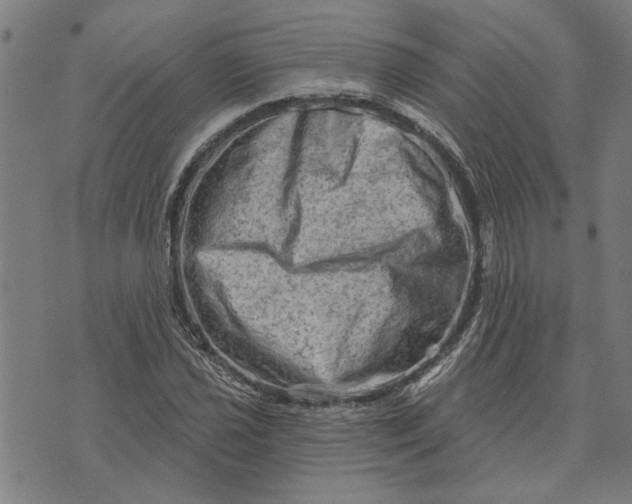 X0000073731021200608241251