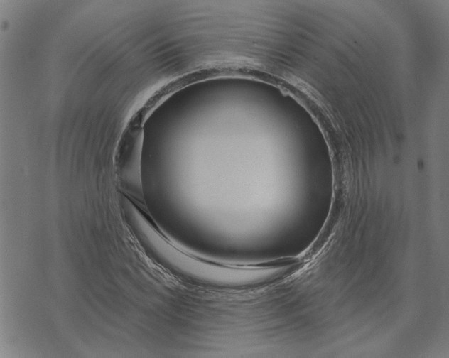 X0000073731022200608241251