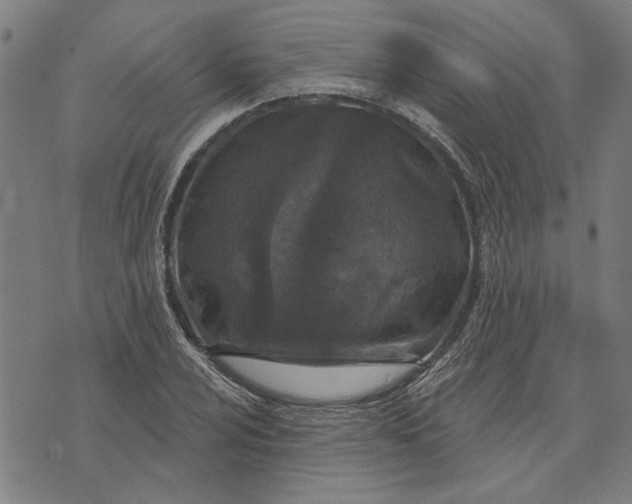 X0000073731024200608241251