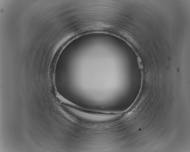 X0000073731026200608241251