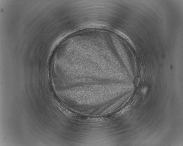 X0000073731027200608241251