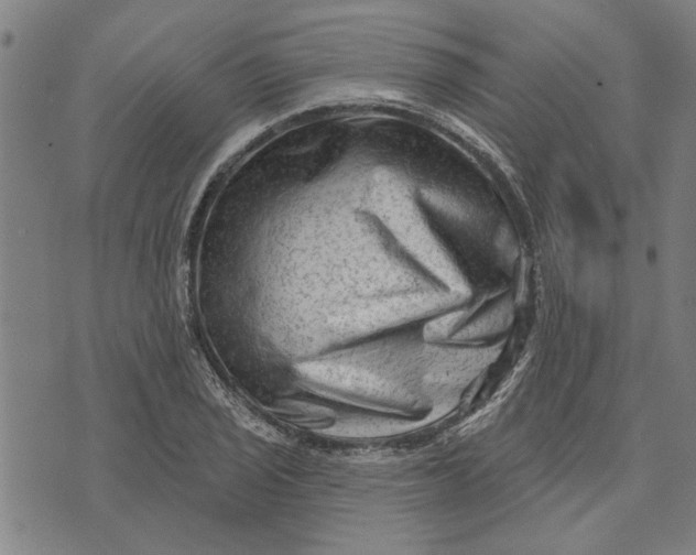 X0000073731029200608241251