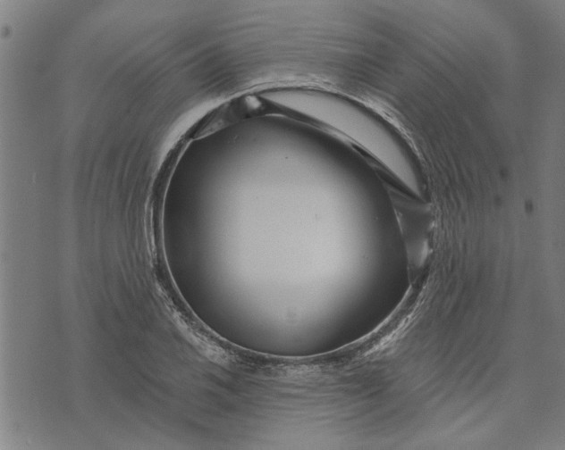 X0000073731030200608241251