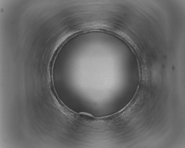 X0000073731031200608241251