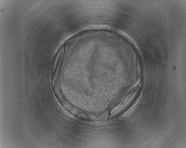 X0000073731033200608241252