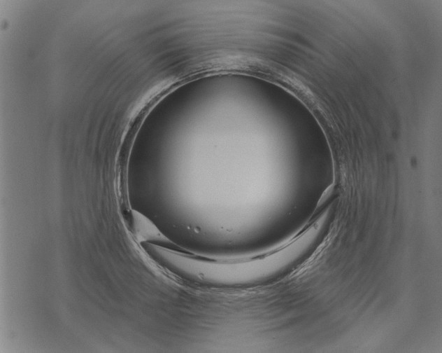 X0000073731034200608241252