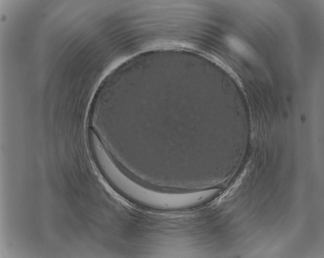 X0000073731037200608241252