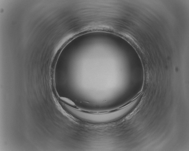 X0000073731038200608241252