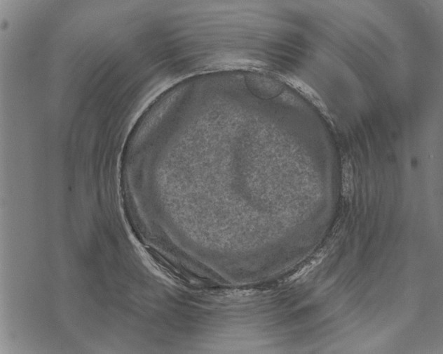 X0000073731039200608241252