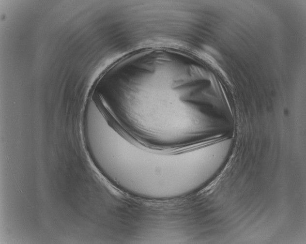 X0000073731040200608241252