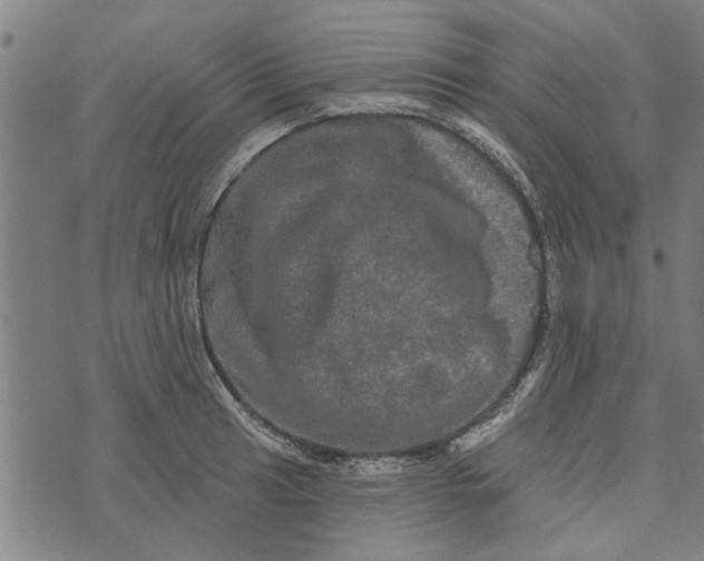 X0000073731041200608241252