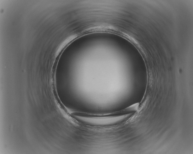 X0000073731042200608241252