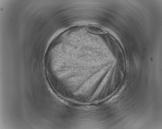 X0000073731045200608241252