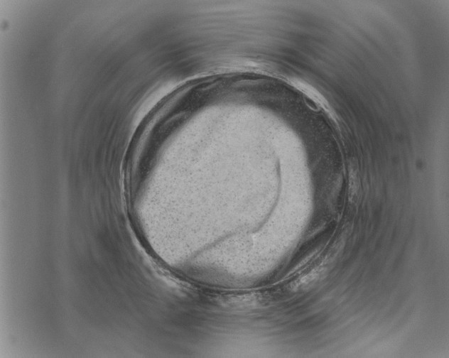 X0000073731047200608241252