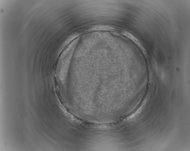 X0000073731049200608241252