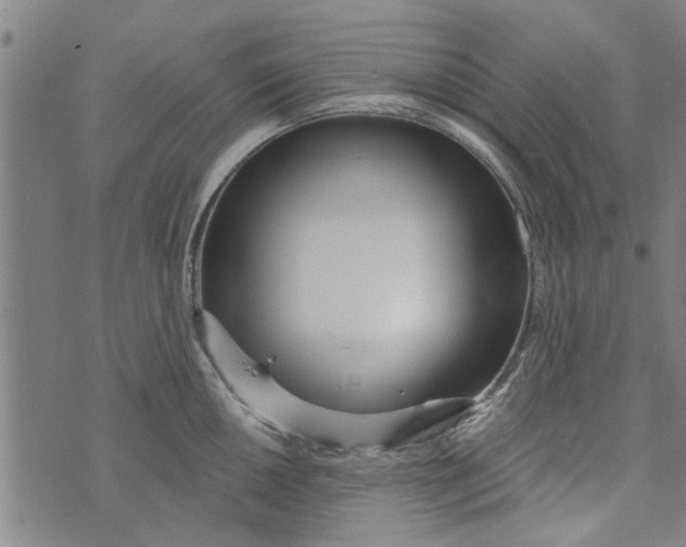 X0000073731050200608241252