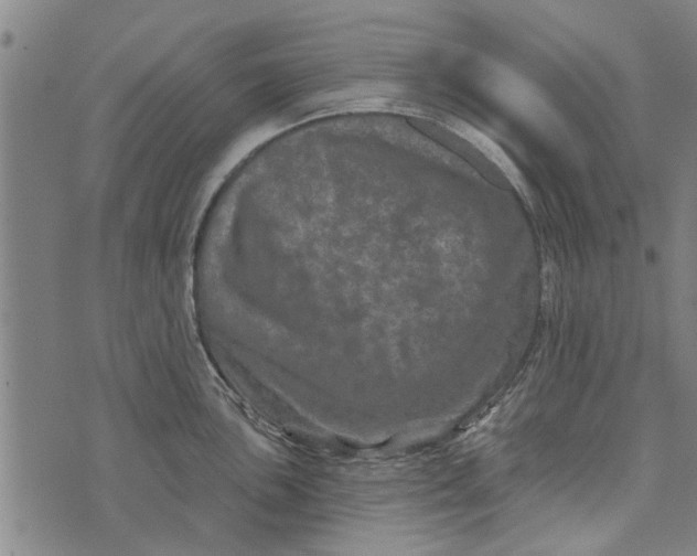 X0000073731051200608241252