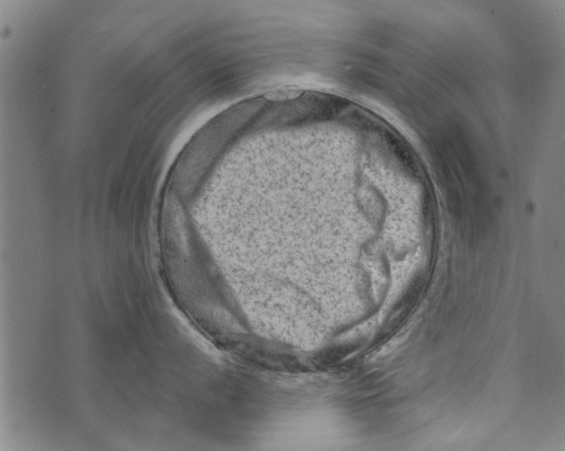 X0000073731056200608241252