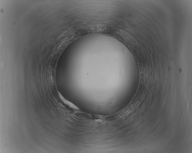 X0000073731058200608241251