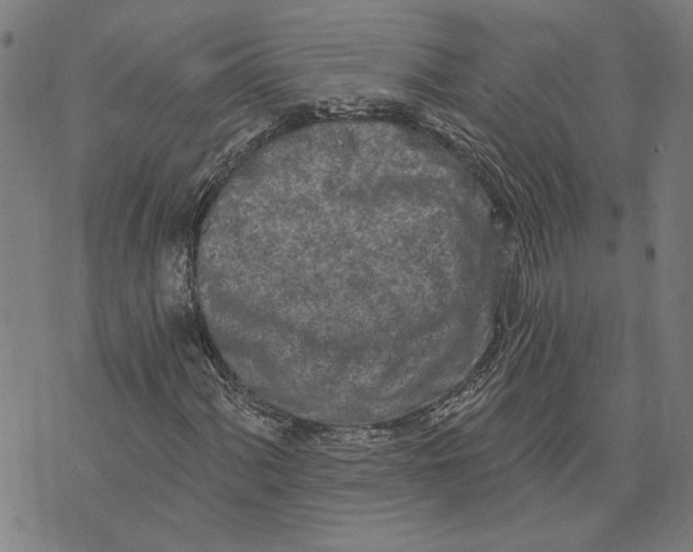 X0000073731060200608241251