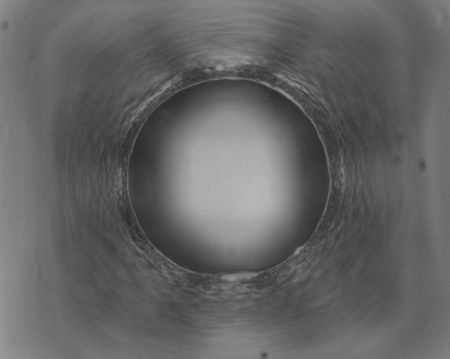 X0000073731061200608241251