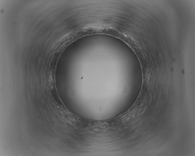 X0000073731062200608241251