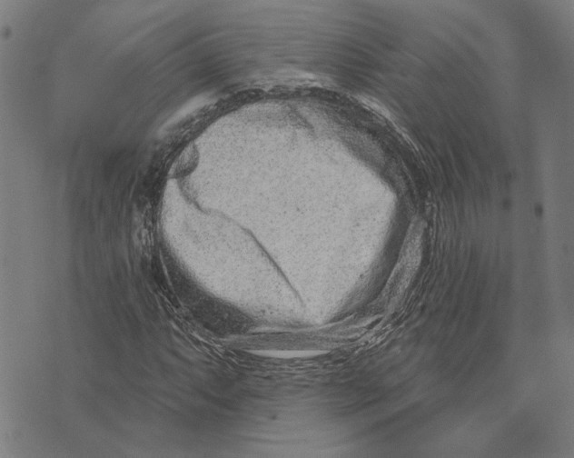 X0000073731063200608241251