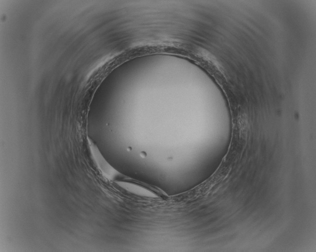 X0000073731064200608241251