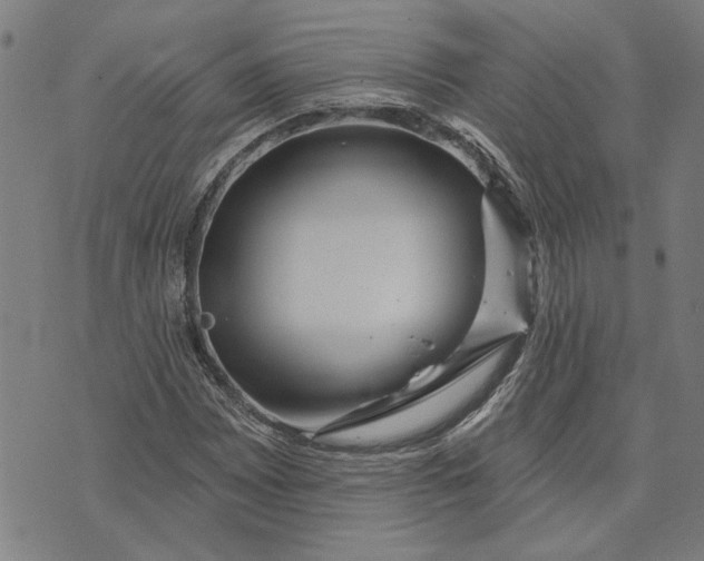 X0000073731065200608241251