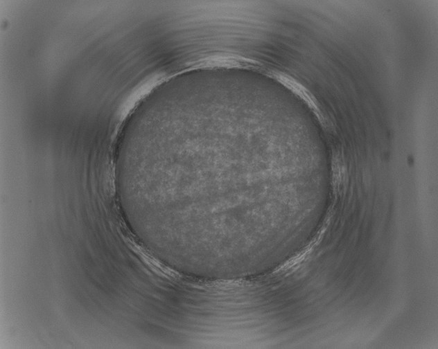 X0000073731067200608241251