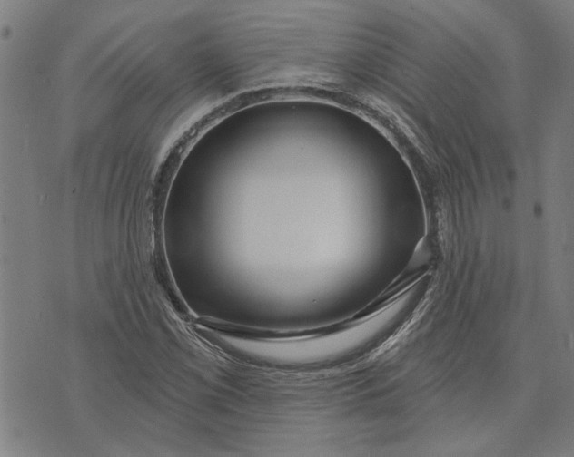 X0000073731069200608241251