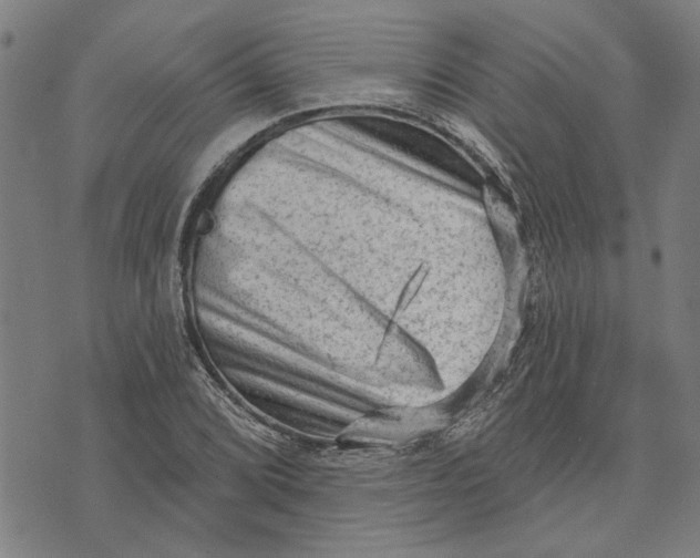 X0000073731072200608241251