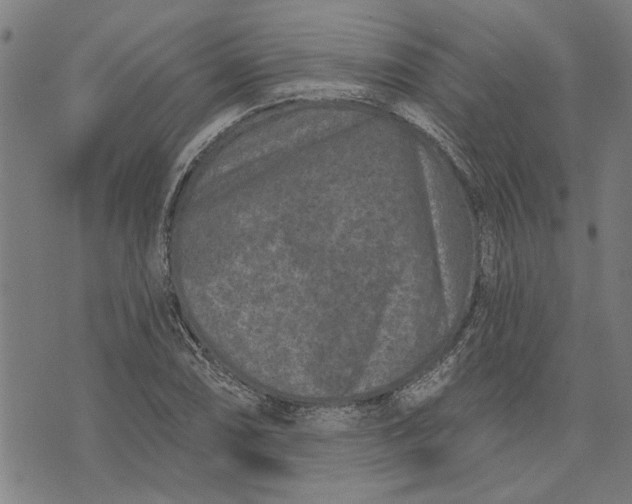 X0000073731074200608241251