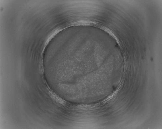 X0000073731075200608241251