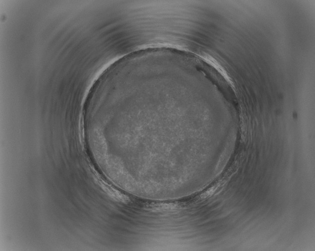 X0000073731076200608241251