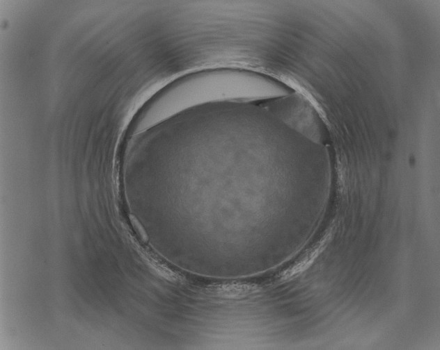 X0000073731077200608241251