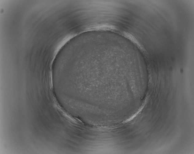 X0000073731079200608241251