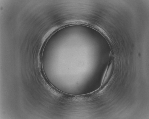 X0000073731082200608241251