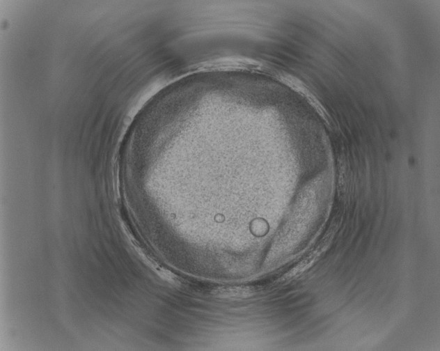 X0000073731083200608241251