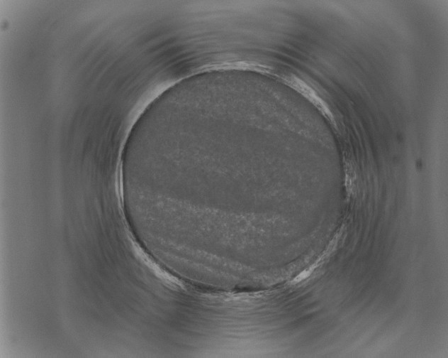 X0000073731084200608241251