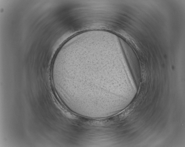 X0000073731086200608241251