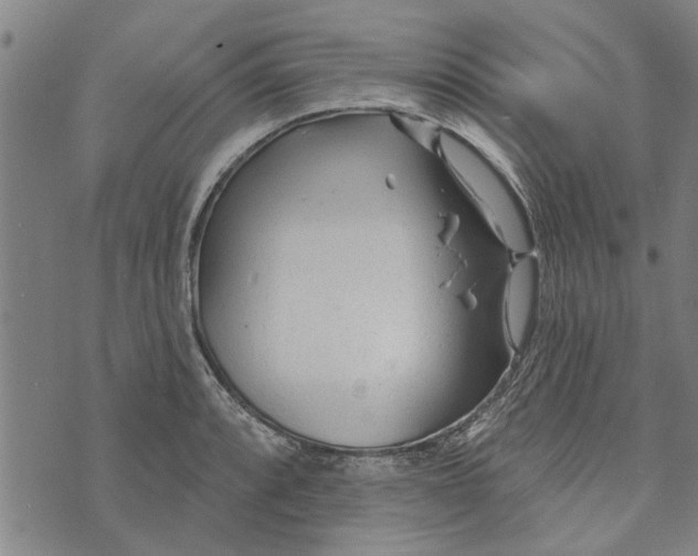 X0000073731088200608241251