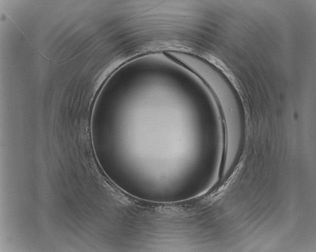 X0000073731089200608241251