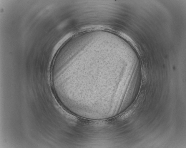 X0000073731090200608241251