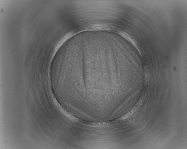 X0000073731091200608241251