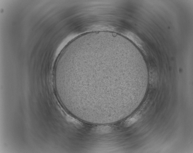 X0000073731094200608241251