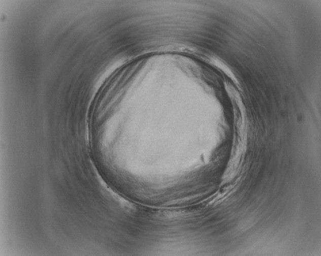 X0000073731095200608241251