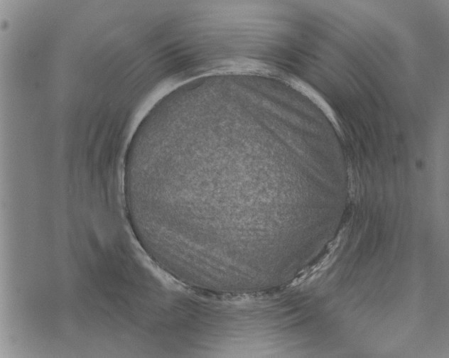 X0000073731099200608241250