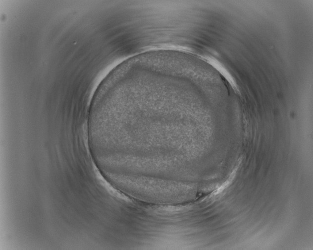 X0000073731100200608241250