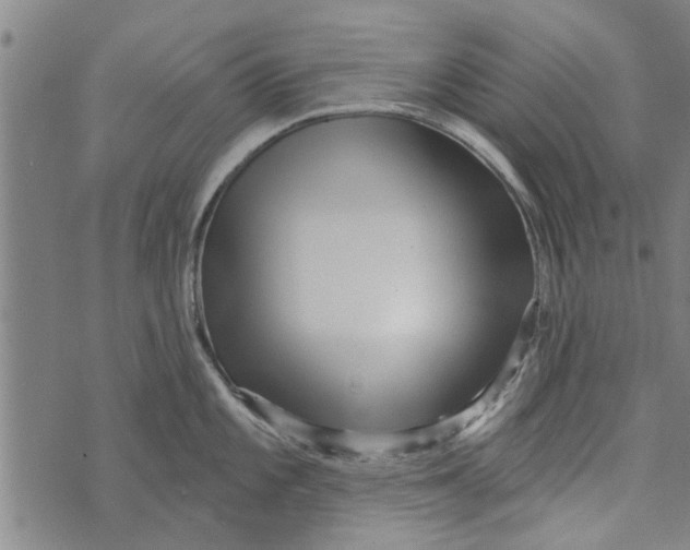 X0000073731101200608241250